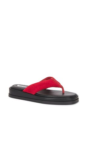 SANDALES BELLA en ,. Taille 5. Also en 7, 8.5 - Steve Madden - Modalova