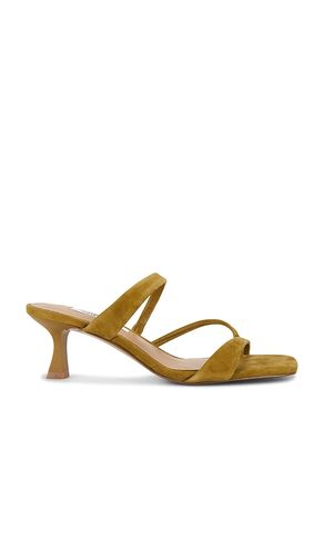 SANDALES AJAY en . Taille 10. Also en 8, 8.5, 9.5 - Steve Madden - Modalova