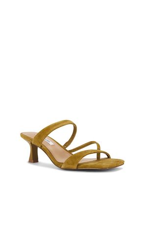 SANDALES AJAY en . Taille 6.5. Also en 8, 8.5, 10 - Steve Madden - Modalova