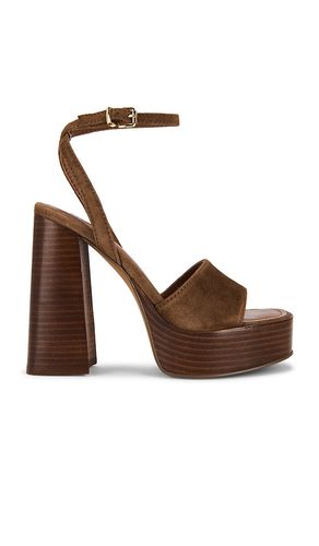 SANDALES FLORIA en . Taille 10. Also en 11, 7.5, 8, 8.5, 9, 9.5 - Steve Madden - Modalova