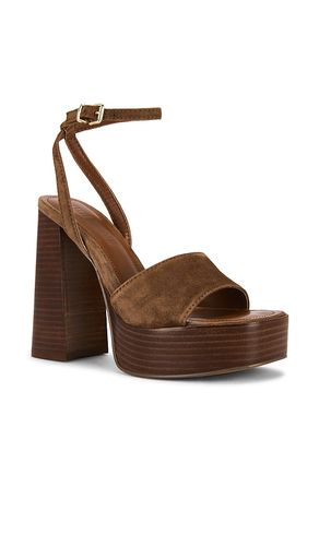 SANDALES FLORIA en . Taille 6. Also en 7.5, 8, 8.5, 9, 9.5, 10, 11 - Steve Madden - Modalova