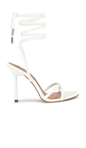CHEVILLE SANGLÉE NERIE en . Taille 10. Also en 6, 6.5, 7.5, 8, 8.5, 9, 9.5 - Steve Madden - Modalova