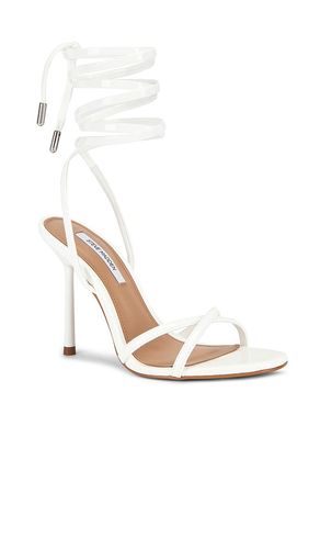 CHEVILLE SANGLÉE NERIE en . Taille 6. Also en 8, 8.5, 9, 9.5, 10 - Steve Madden - Modalova