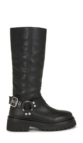 BOTTINES EVEREST en . Taille 10. Also en 6.5, 7, 7.5, 8, 8.5, 9, 9.5 - Steve Madden - Modalova