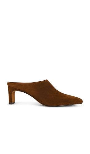 ESCARPIN JAMASON MULE en . Taille 6. Also en 6.5, 8, 8.5, 9.5, 10 - Steve Madden - Modalova