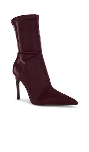 BOTTINES MACKENA en . Taille 10. Also en 6, 6.5, 7, 7.5, 8, 8.5, 9.5 - Steve Madden - Modalova