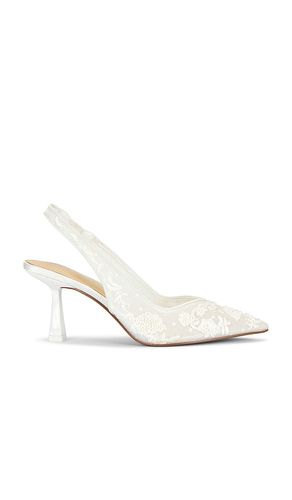 ESCARPIN NIKKI en . Taille 6. Also en 9 - Steve Madden - Modalova