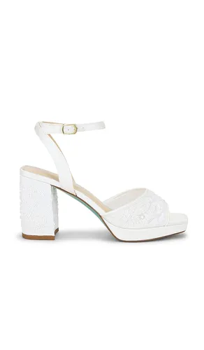 ESCARPIN JUNIE en . Taille 6. Also en 7, 7.5, 8, 8.5, 9, 9.5, 10 - Steve Madden - Modalova