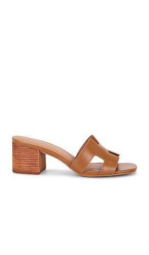 SANDALES HADES en . Taille 6. Also en - Steve Madden - Modalova