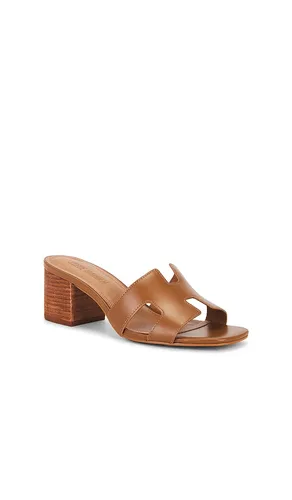 SANDALES HADES en . Taille 6. Also en 8.5 - Steve Madden - Modalova