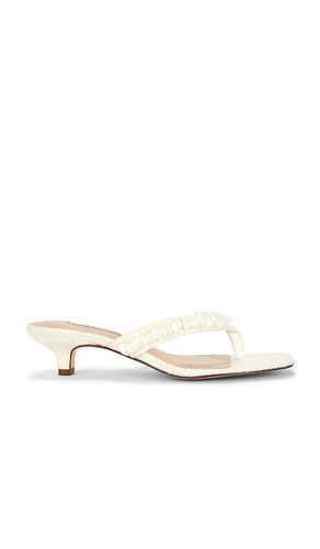 SANDALES À TALONS TRACIE SHELL en . Taille 6. Also en 6.5, 8.5, 10, 11 - Steve Madden - Modalova
