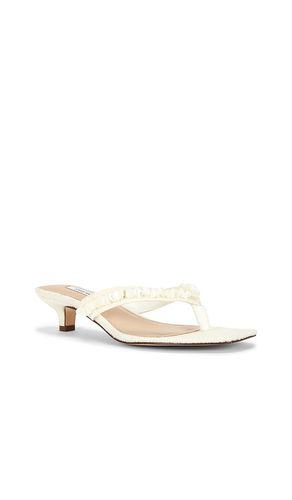 SANDALES À TALONS TRACIE SHELL en . Taille 10. Also en 11, 6.5, 7.5 - Steve Madden - Modalova