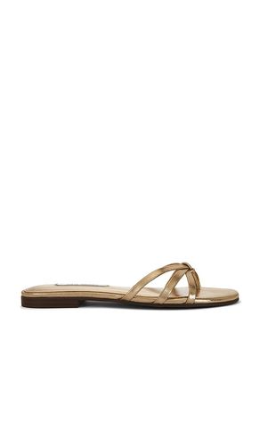SANDALES CALISSI en . Taille 10. Also en 6, 6.5, 7, 7.5, 8, 8.5, 9.5 - Steve Madden - Modalova