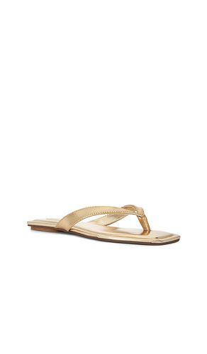 SANDALES TRELLA en . Taille 6.5. Also en 7.5, 8, 8.5, 9.5 - Steve Madden - Modalova
