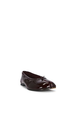 PLAT CALICO en . Taille 10. Also en 7.5, 8, 8.5, 9.5 - Steve Madden - Modalova