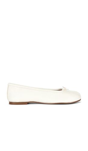 PLAT CALICO en . Taille 10. Also en 8, 8.5, 9, 9.5 - Steve Madden - Modalova