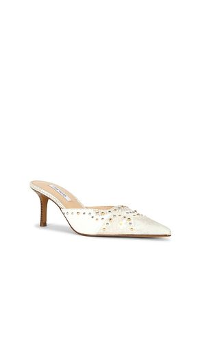 MULES ALEXI en . Taille 6. Also en 6.5, 7.5, 8, 8.5, 9, 9.5, 10 - Steve Madden - Modalova