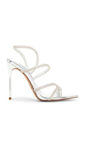 SANDALES SWALLA en , . Taille 6. Also en 6.5, 7, 7.5, 8, 8.5, 9, 9.5, 10 - Steve Madden - Modalova