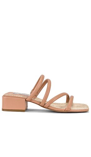 SANDALES CITIZEN in . Size 7.5 - Steve Madden - Modalova