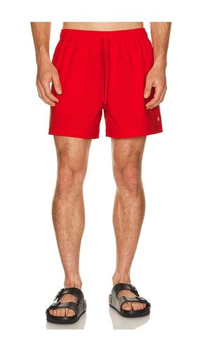 SHORT en . Taille M. Also en XL/1X, XXL/2X - SAMSOE SAMSOE - Modalova