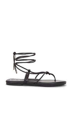 SANDALES ANGIE en . Taille 10. Also en - Solei Sea - Modalova