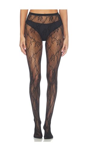 COLLANTS EN DENTELLE NOVA en . Taille L. Also en M, S, XL - SWEDISH STOCKINGS - Modalova