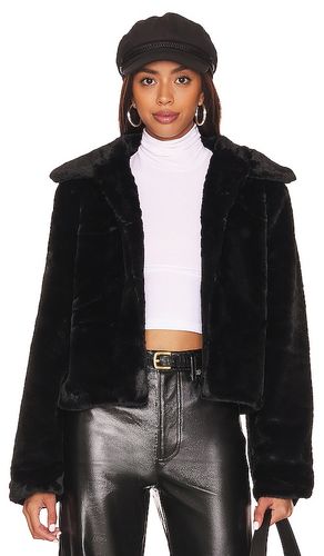 BLOUSON TIANNA en . Taille L. Also en M, S, XL, XS, XXS - superdown - Modalova