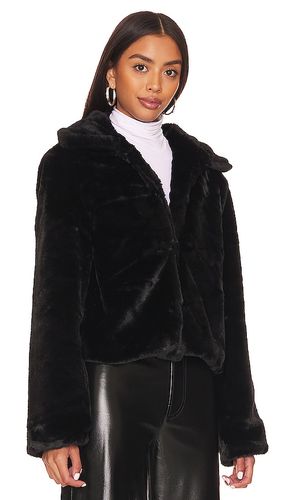 BLOUSON TIANNA en . Taille S. Also en XS, XXS, M, L, XL - superdown - Modalova