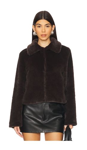 BLOUSON TIANNA en . Taille S. Also en XS - superdown - Modalova