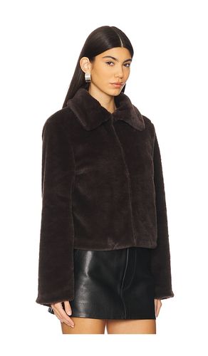 BLOUSON TIANNA en . Taille L. Also en M, S, XL, XS, XXS - superdown - Modalova