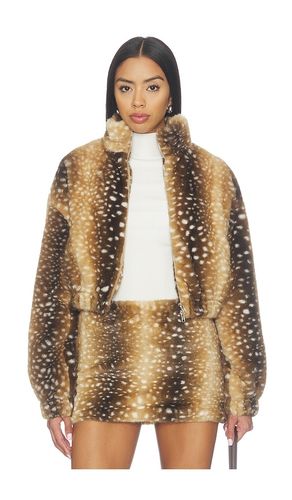 BLOUSON ELOISE en . Taille XS. Also en XXS, S, M, L, XL - superdown - Modalova