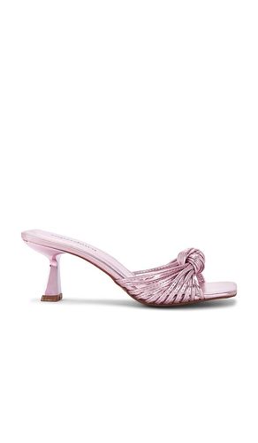 SANDALES TALIS en . Taille 7. Also en - superdown - Modalova
