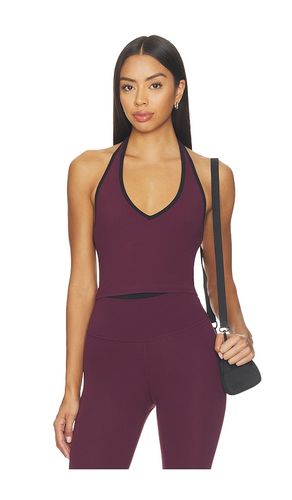 Rory Airweight Halter Bralette en . Taille S. Also en XS, M, L - Splits59 - Modalova