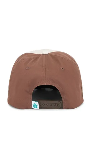 CHAPEAU DUELING CICADAS en - Sendero Provisions Co. - Modalova