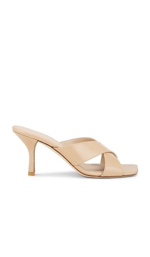SANDALES DAYNA en . Taille 10. Also en 11, 5, 6, 7, 7.5, 8, 9.5 - Stuart Weitzman - Modalova
