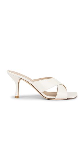 SANDALES DAYNA en . Taille 5.5. Also en 6, 6.5, 7, 7.5, 8, 8.5, 9 - Stuart Weitzman - Modalova