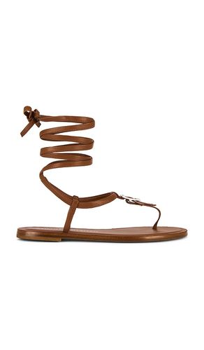 SANDALES GEORGIE in . Size 6.5, 7, 7.5, 8, 8.5, 9, 9.5 - Stuart Weitzman - Modalova