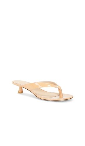 SANDALES RIO SLEEK 35 en . Taille 6. Also en 9 - Stuart Weitzman - Modalova