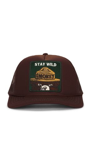 Friday Feelin CHAPEAU NA en Brown - Friday Feelin - Modalova