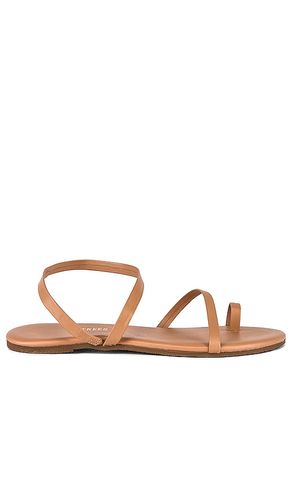 SANDALES MIA NAPA in . Size 11, 7 - TKEES - Modalova