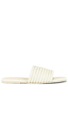 SANDALES CARO in . Size 10, 6, 7, 8 - TKEES - Modalova