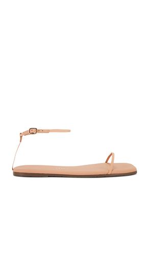 SANDALES SQUARE TOE TWIGGY in . Size 5, 7, 8, 9 - TKEES - Modalova