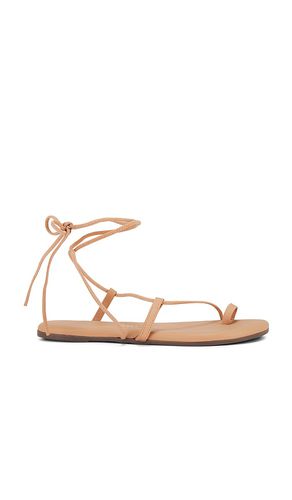 SANDALES JO in . Size 11, 6, 7, 8, 9 - TKEES - Modalova