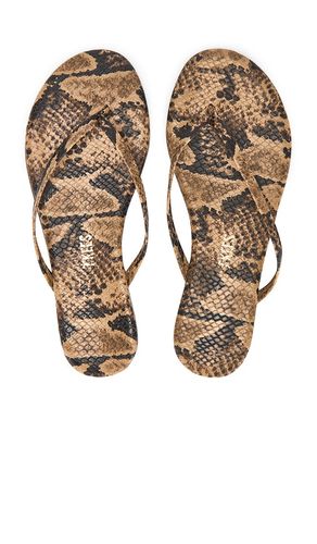 SANDALES STUDIO EXOTIC in . Size 8, 9 - TKEES - Modalova