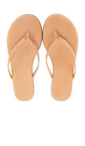 SANDALES LILY BRAID in . Size 5, 6, 7, 8, 9 - TKEES - Modalova