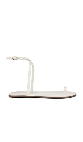 SANDALES PHOEBE in . Size 6, 7, 8 - TKEES - Modalova
