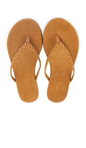 SANDALES LILY BRAID in . Size 5, 6 - TKEES - Modalova
