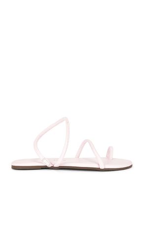 SANDALES TUBULAR MIA NAPA en . Taille 8. Also en 9 - TKEES - Modalova