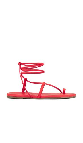 TKEES SANDALES JO in Red. Size 6 - TKEES - Modalova