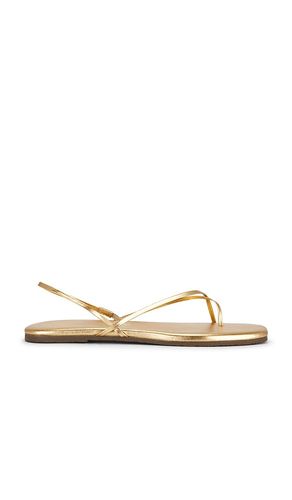 SANDALES MILLIE en . Taille 6. Also en 7, 8, 9, 10 - TKEES - Modalova